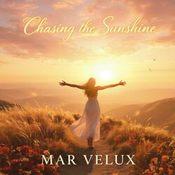 Chasing the Sunshine