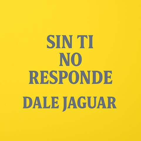 Sin ti no responde