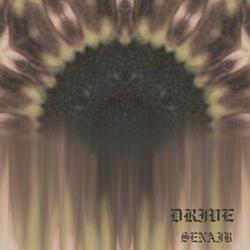 DRIVE (feat. SHANIQ)