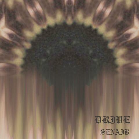 DRIVE (feat. SHANIQ)