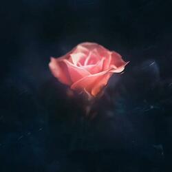 The Remedy (Extended Mix)