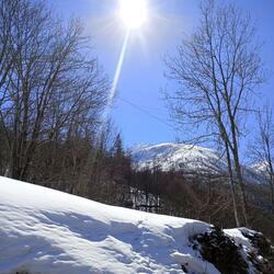 Backlights (Extended Version)