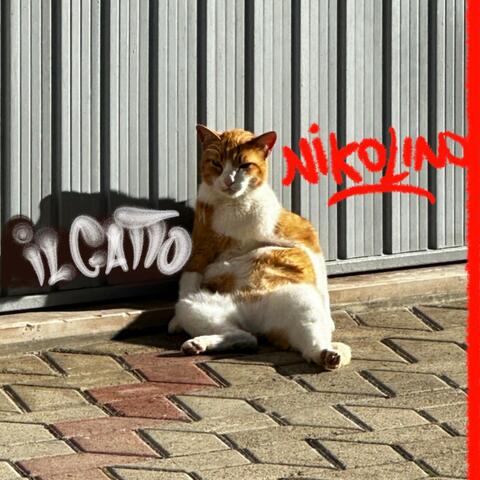 Il Gatto (feat. Nikolino)