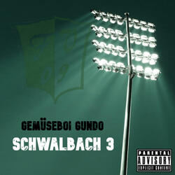 Schwalbach 3