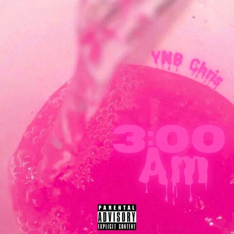 3:00 AM