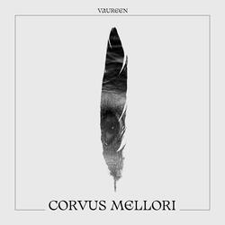 Corvus Mellori