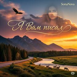 Я Вам писал