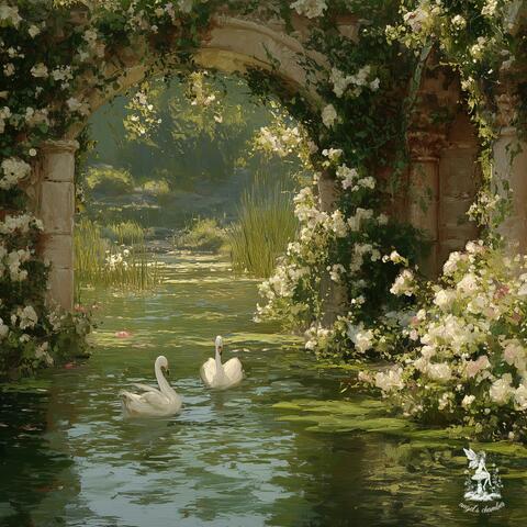 Chapter 2: Secret Swan Lake