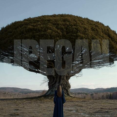 DO YOU STILL REMEMBER WHO YOU ARE?