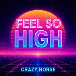 Feel So High