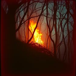 Tangled Flames