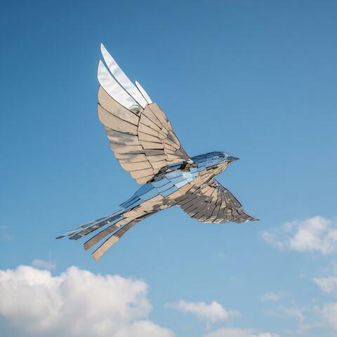 Mirror Bird