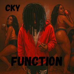 Function