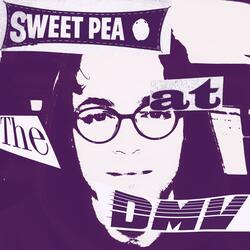 Sweet Pea at the DMV