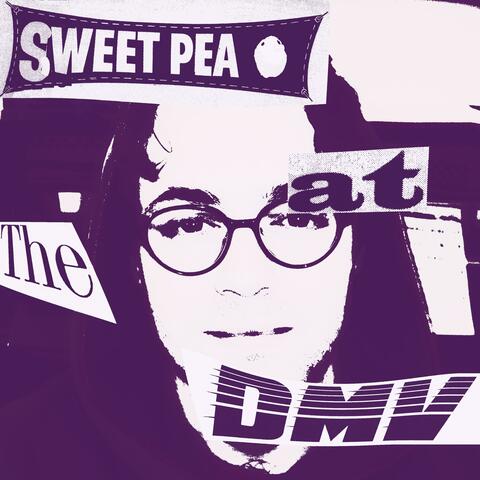 Sweet Pea at the DMV