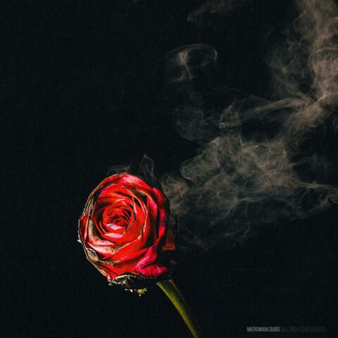 Love No More
