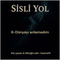 Dünyayı anlamadım