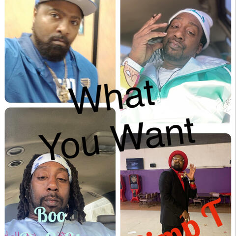 What You Want (feat. Pimp T)