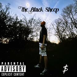The Black Sheep