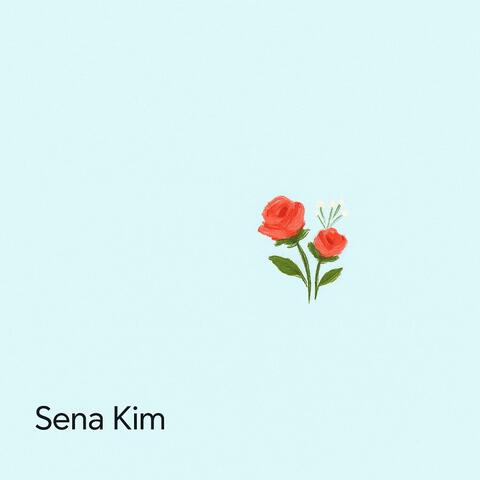 SENA_B02