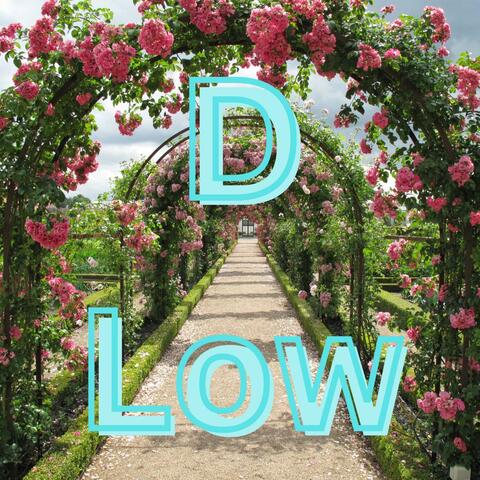 DLow