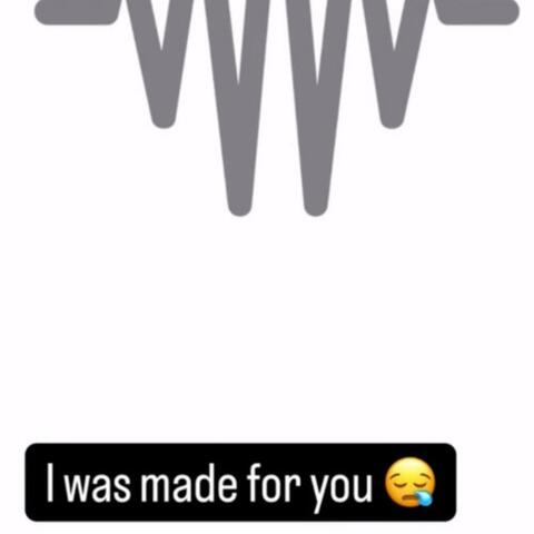 i was made for you