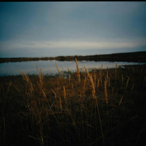 I’LL ALWAYS LOVE YOU