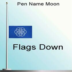 Flags Down (feat. Pendo the Producer)