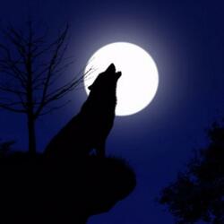 Full Moon (beat/instrumental)