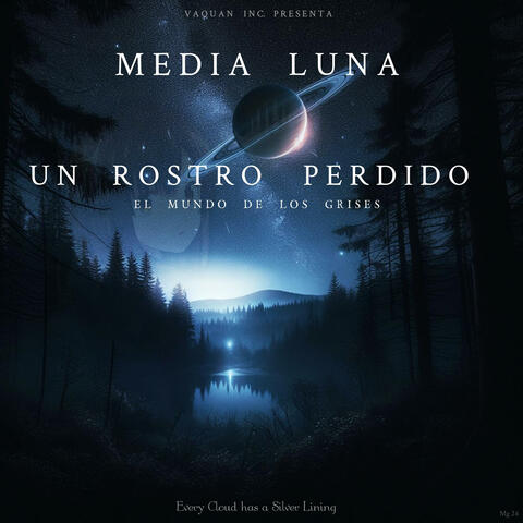 Un Rostro Perdido: El Mundo de los Grises