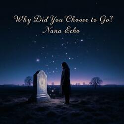 Why did you choose to go?