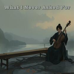 What I Never Asked For