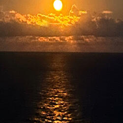 Party Animal (Rushed Version)