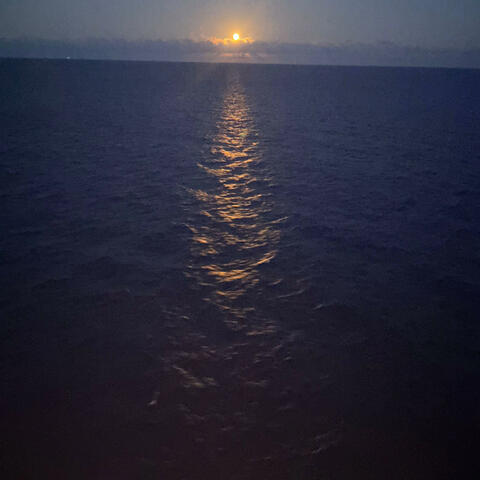 Reputation (Edited Version)