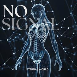 No Signal