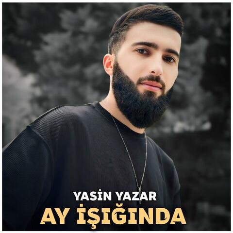 Ay İşığında