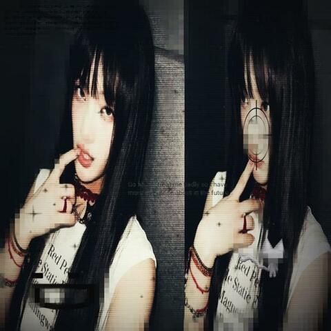 shine freestyle #503