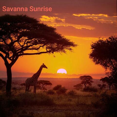 Savanna Sunrise