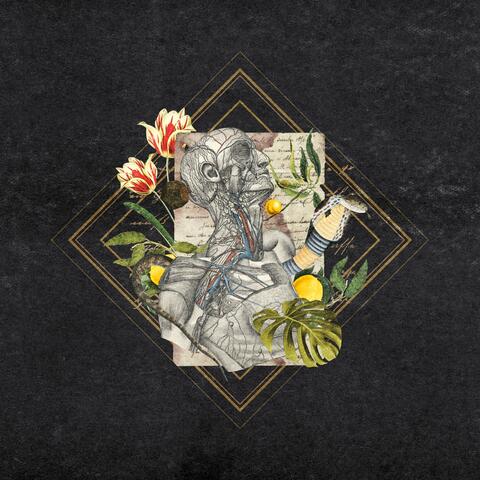 Body Language, Vol. 1