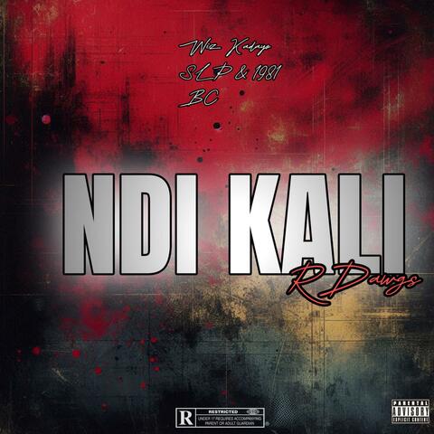 Ndi Kali (feat. SLP &1981 BC)