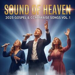 I will fly up in the Lord