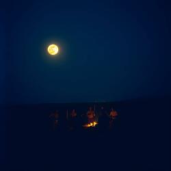 Embers in the Dark
