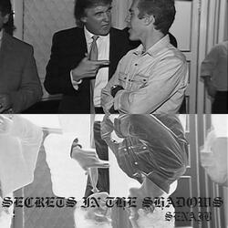 SECRETS IN THE SHADOWS Pt. 2 (feat. WALLS OF YOUR)