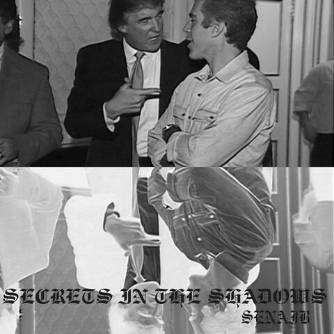 SECRETS IN THE SHADOWS