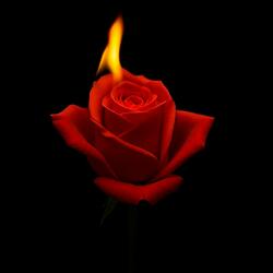 Рани на душі_Barsik