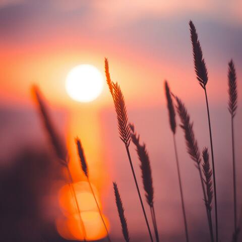 Velvet Evening - Romantic & Relaxing Instrumental