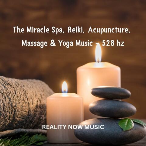 The Miracle Spa, Reiki, Acupuncture, Massage & Yoga Music, Vol. 1 (528 hz)