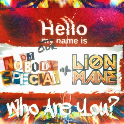 Who Are YOU? (feat. Lion Mane)