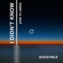 I Didn't Know (Ode to Amen)