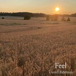Feel